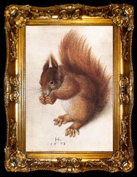 framed  HOFFMANN, Hans Squirrel wf, ta009-2